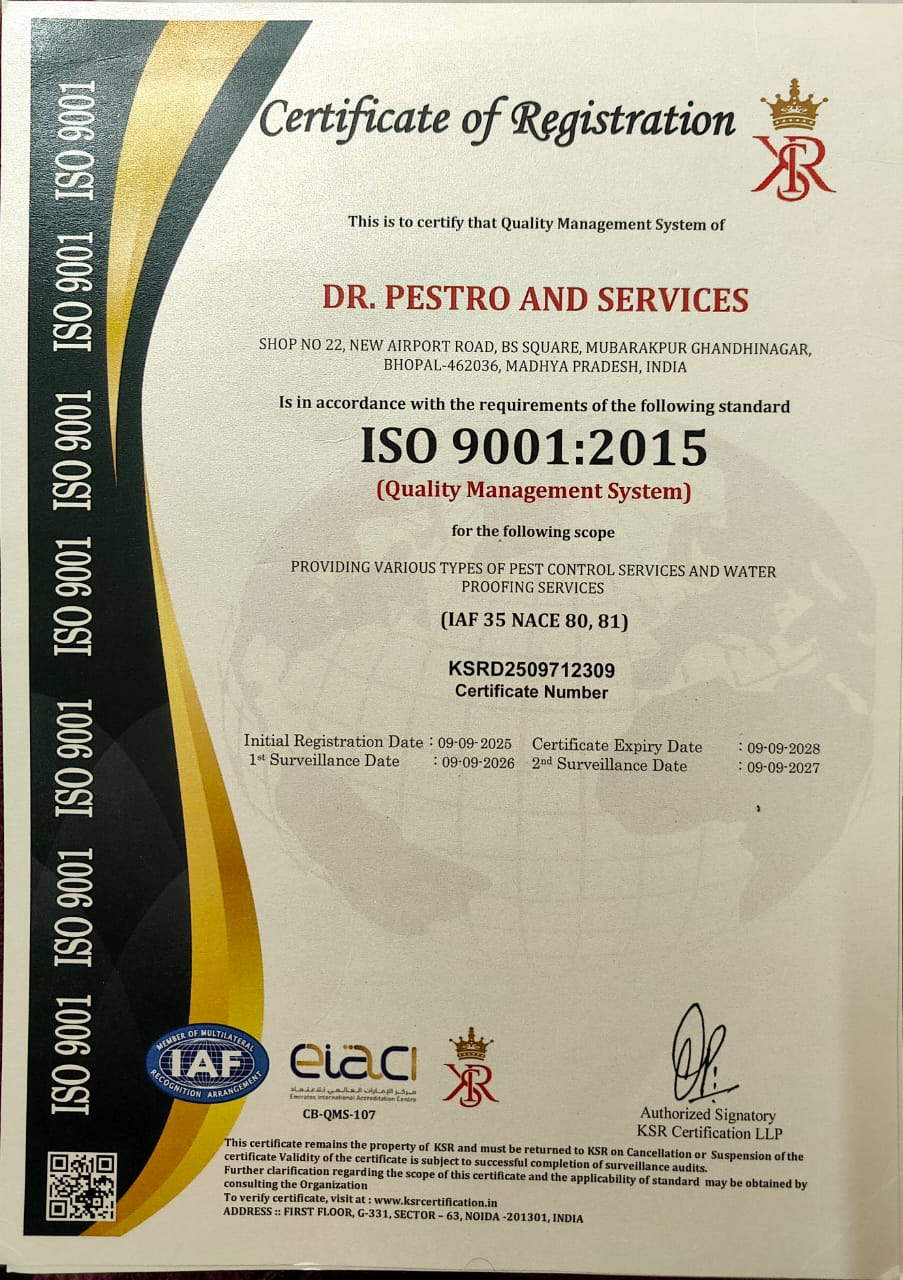 ISO 9001:2015 Certificate